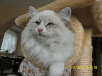 /album/galeria-aurora/sam-3101-816-x-612-jpg/